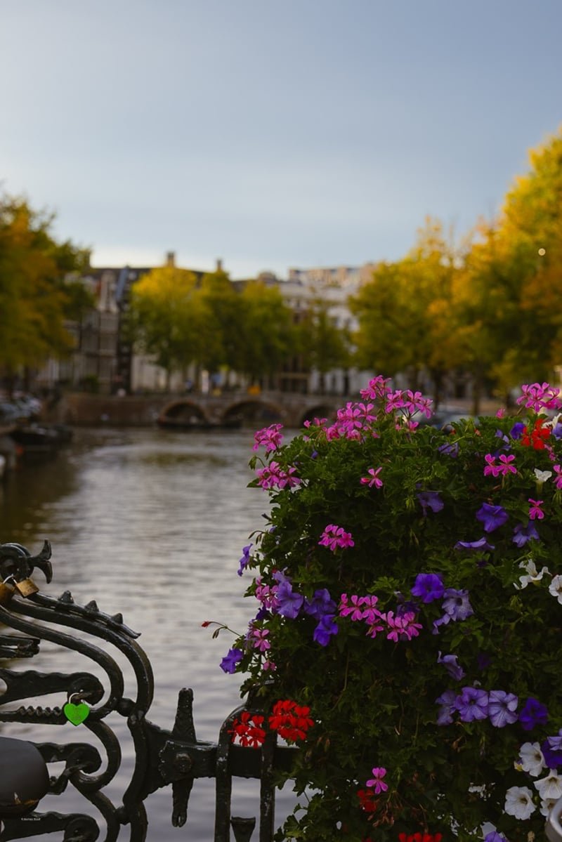 Amsterdam, Netherlands, travel photograph 111 by Journey Outset