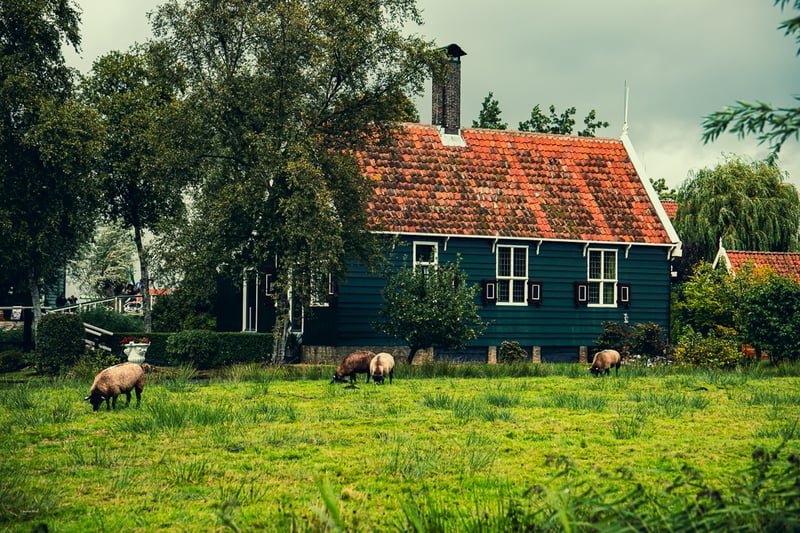 Amsterdam, Netherlands, travel photograph 47 by Journey Outset