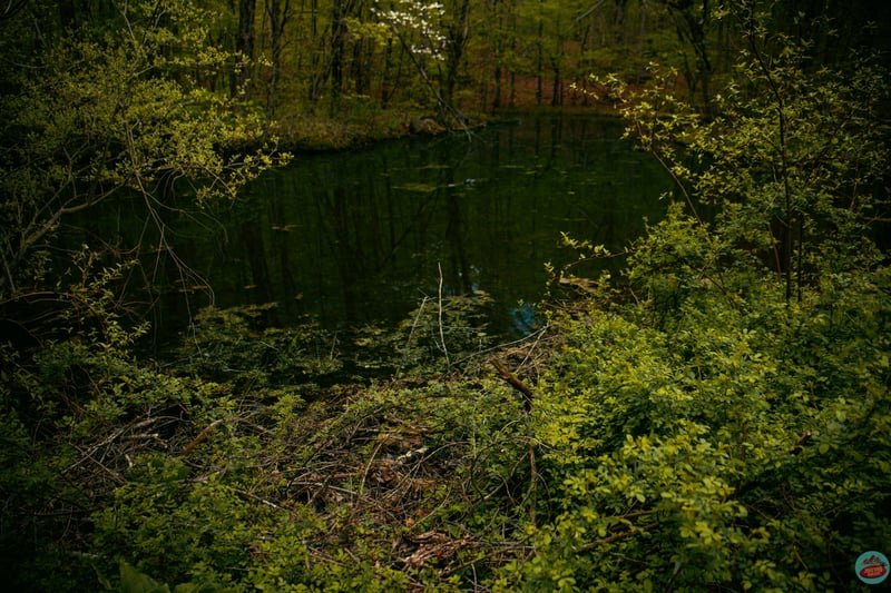 New York State Parks, travel photograph 16 by Journey Outset