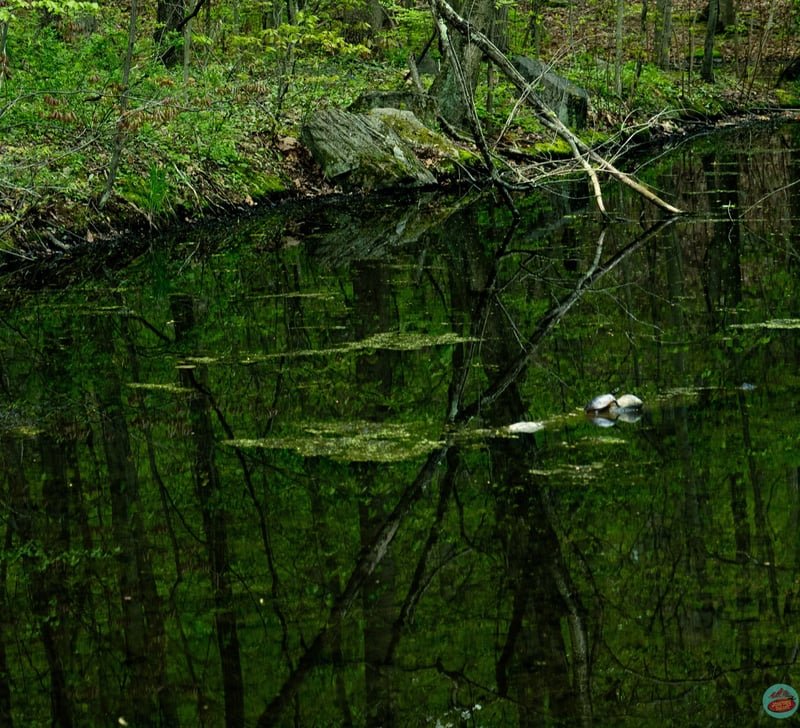 New York State Parks, travel photograph 12 by Journey Outset