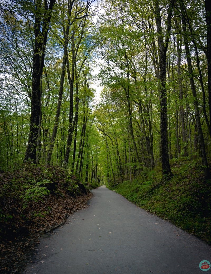 New York State Parks, travel photograph 8 by Journey Outset