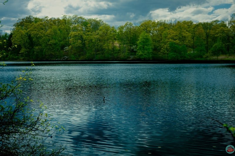 New York State Parks, travel photograph 4 by Journey Outset