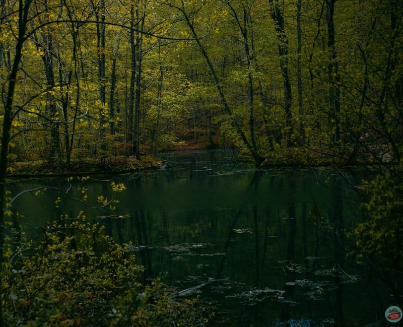 New York State Parks, travel photograph 14 by Journey Outset